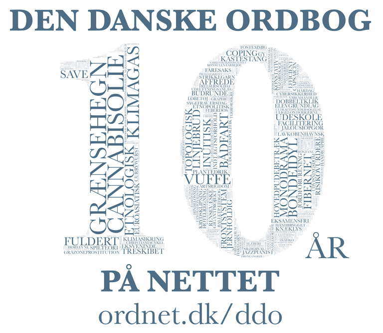 Den Danske Ordbog: 10 år på nettet