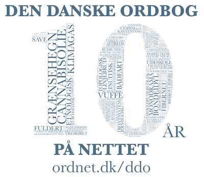 Den Danske Ordbog: 10 år på nettet