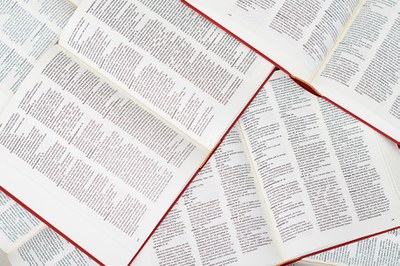 Saltvandsindsprøjtning til Den Danske Ordbog