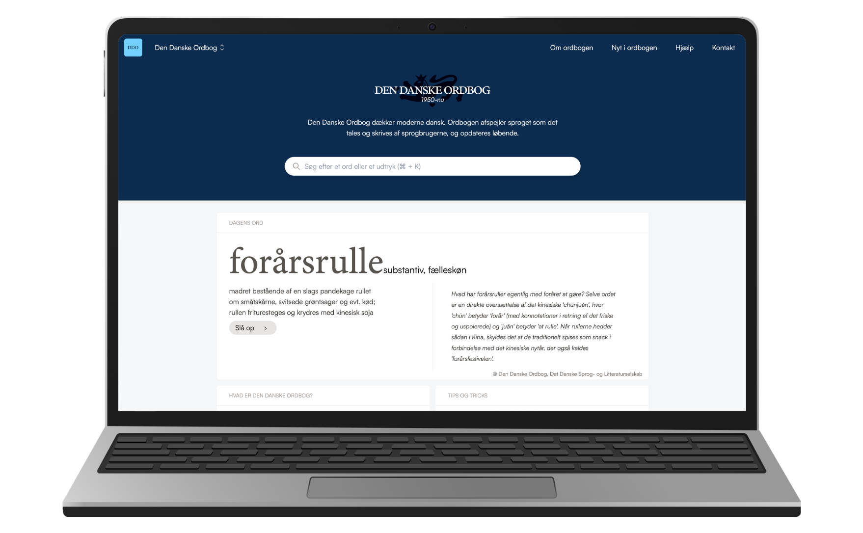 Nyt Ordnet: DDO forside