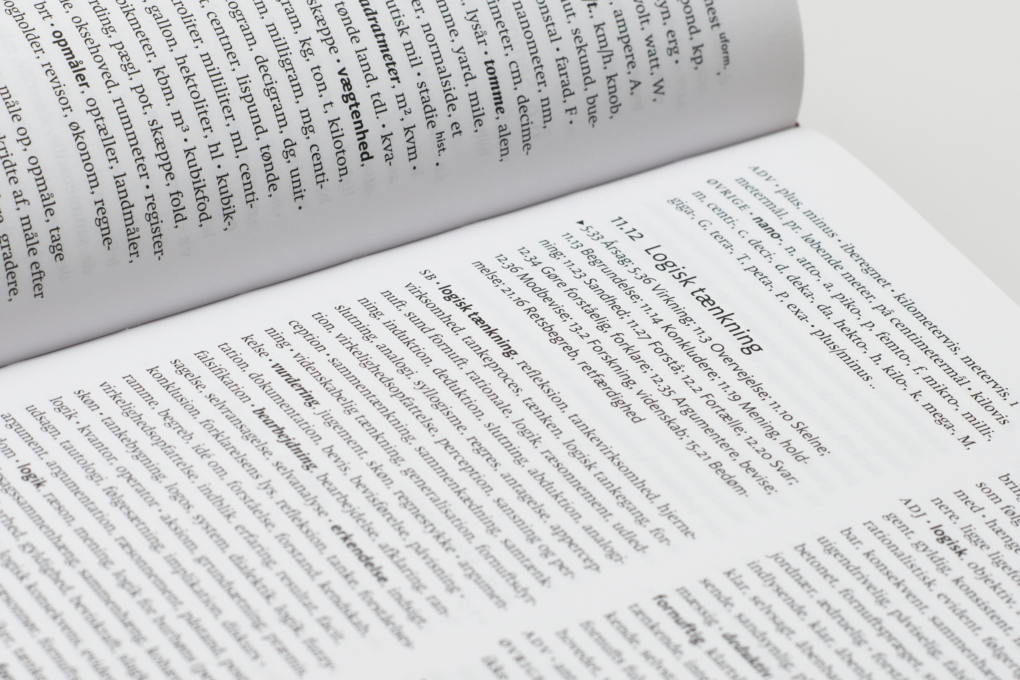 Opslag i Den Danske Begrebsordbog